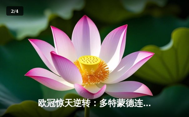 欧冠惊天逆转：多特蒙德连扳三球淘汰巴黎，桑乔独造两球闪耀全场 - 2