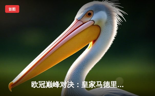 欧冠巅峰对决：皇家马德里加时鏖战3-2力克拜仁慕尼黑，本泽马双响闪耀伯纳乌